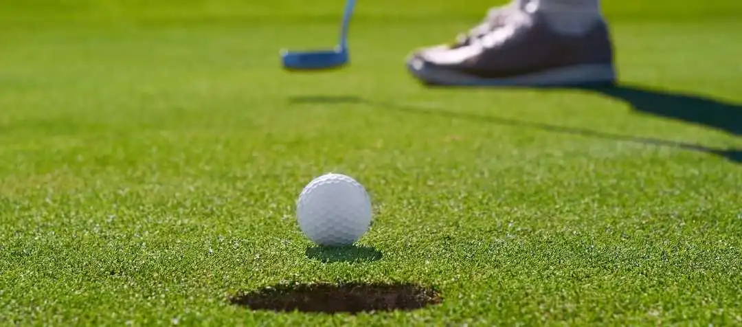 Golf Balls Sales -Golf Balls Sales Sept eNews articles header 30